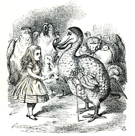 Alice-Meets-The-Dodo,-Illustration-From-Alices-Adventures-In-Wonderland,-By-Lewis-Carroll,-1865.jpg