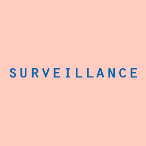 Surveillance1.gif