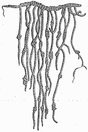 Quipu - a hybrid between octopus and rope 