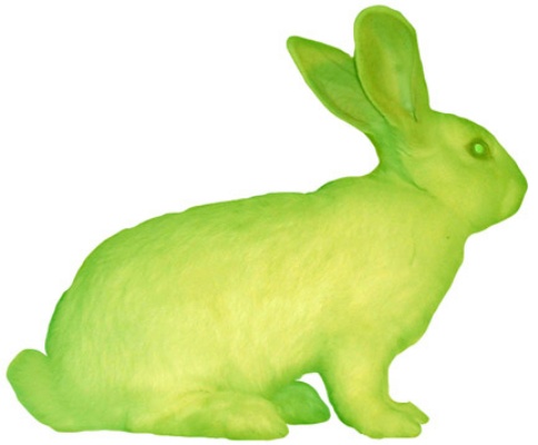 File:Gfp bunny.jpg