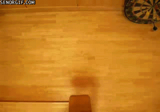 File:Catmastersanycurvewith4pawdrive.gif