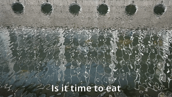 File:Time to eat.gif