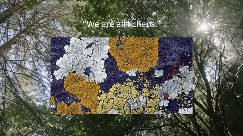 File:7lichens.png