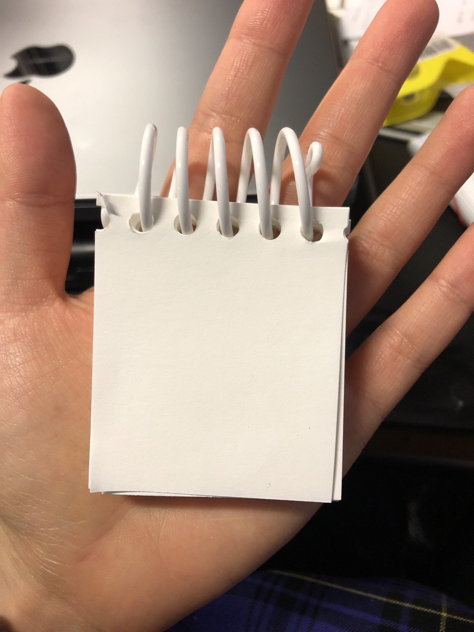 a tiny tiny spring note book for lost stories