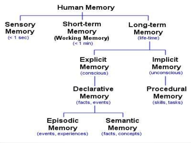 Human-memory-psychology-3-638.jpg