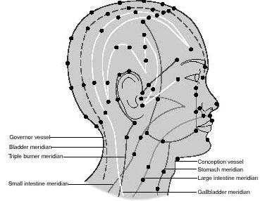 File:Acupuncture points head.jpg