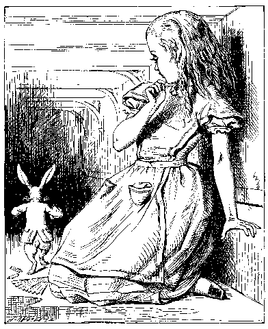 Alice Rabbit