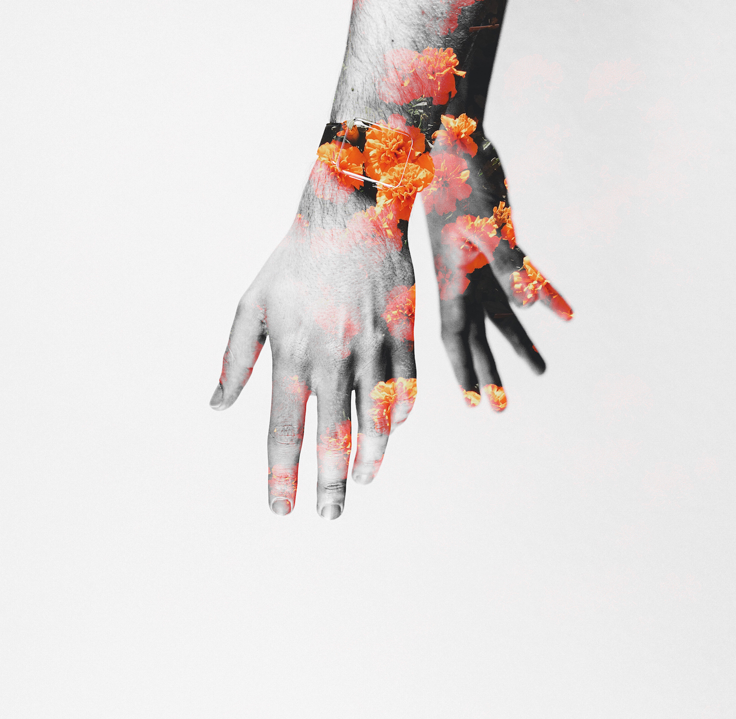 Flower hands.jpg