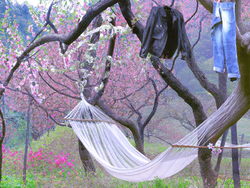 DALL·E 2022-12-05 19.26.53 - White underwear and jeans and leather jacket hanging on the tree.png