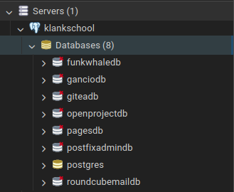 Image of a dropdown menu listing databases on the Klankschool server