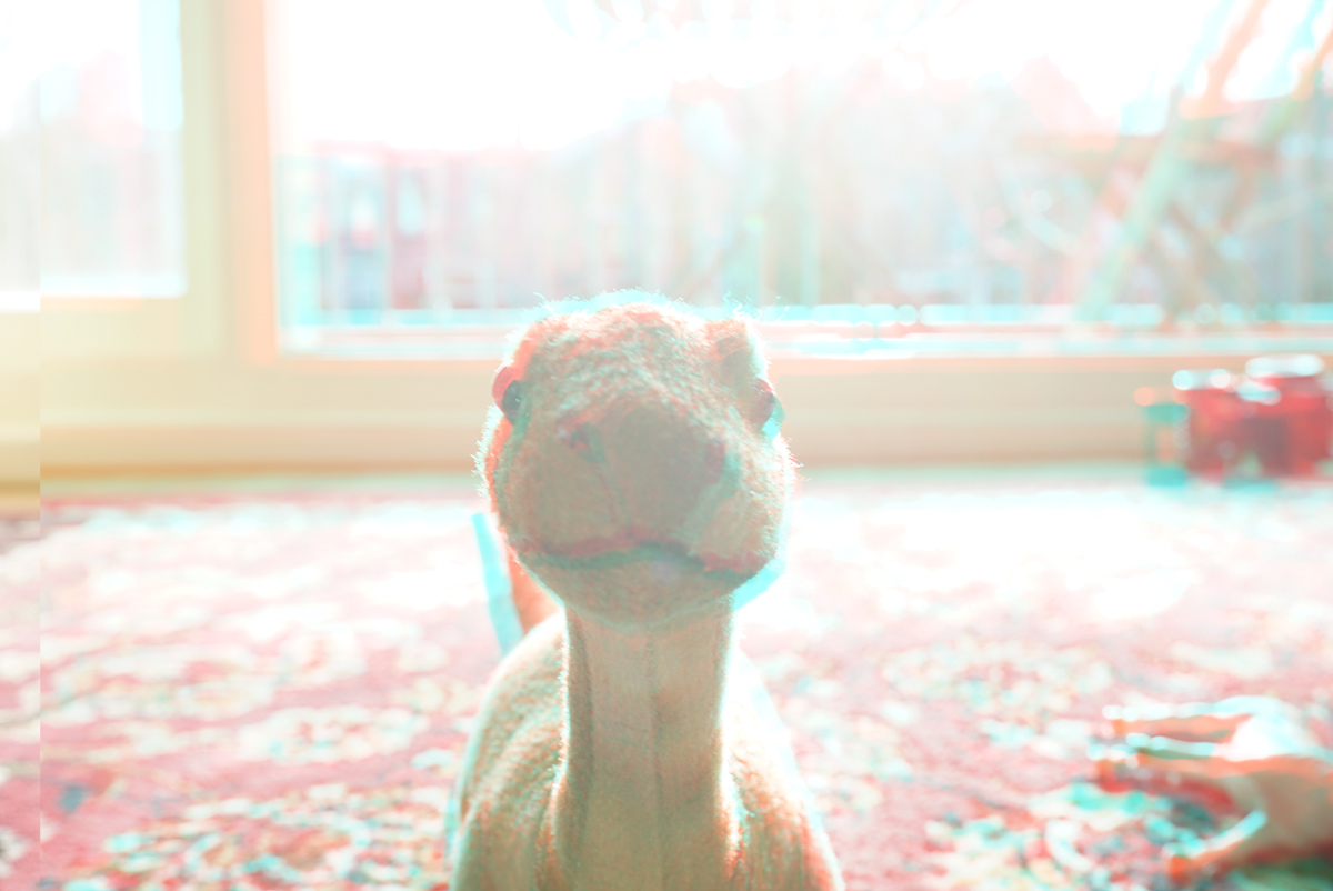 Dino-3D.jpg