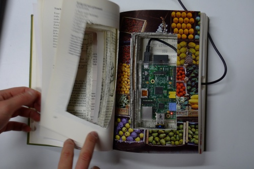 Bookserver in a book