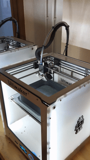 3D printing of Iris