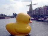 Worm duck delfshaven.jpg