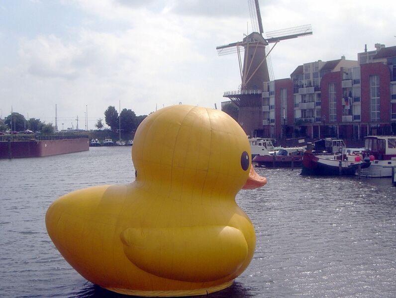File:Worm duck delfshaven.jpg