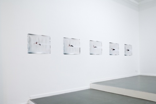 Lucian Wester installation 2.jpg