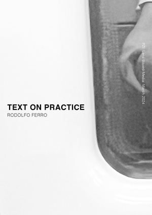 Text on Practice Rodolfo Ferro.pdf
