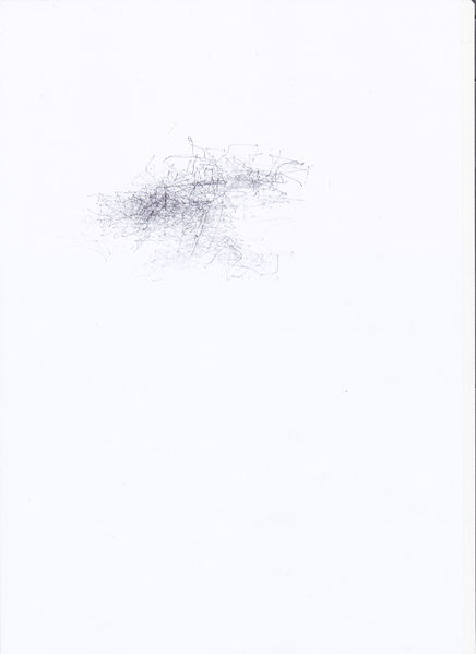 File:Mouse Drawing1.jpg