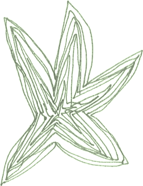 File:Star scan.png