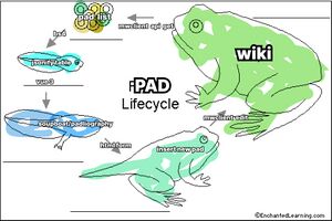 Pad Lifecycle.jpg