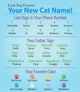 Your new cat name.png