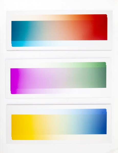 File:Lucian Wester Natural Gradients.jpg