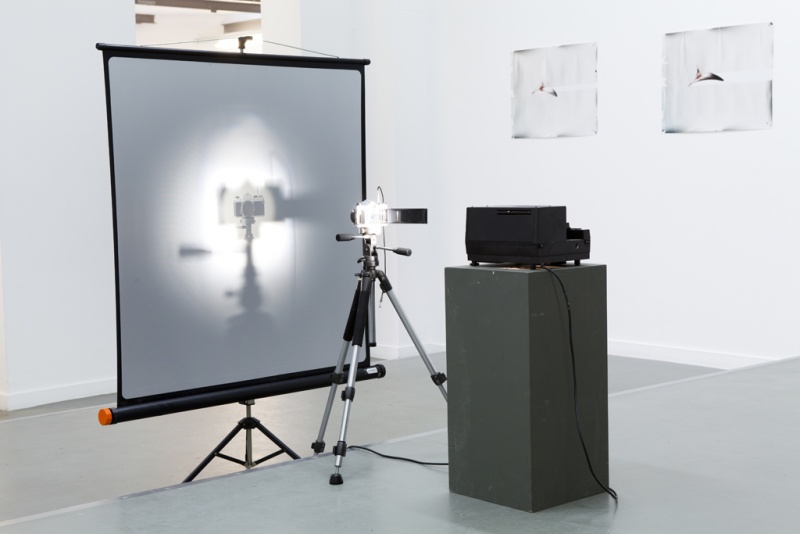 File:03 Lucian Wester projecting camera.jpg