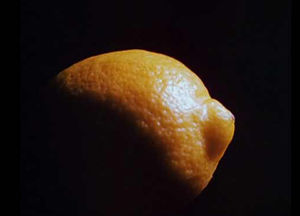 Lemon2.jpg