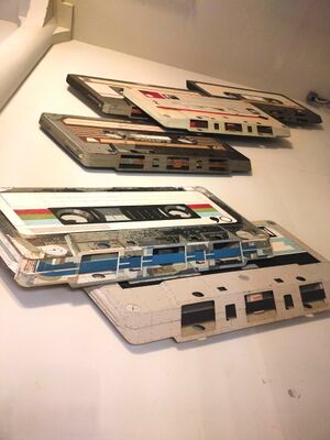 Worm cassettes.jpg