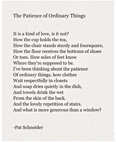 Pat Schneider, The Patience of Ordinary Things.png