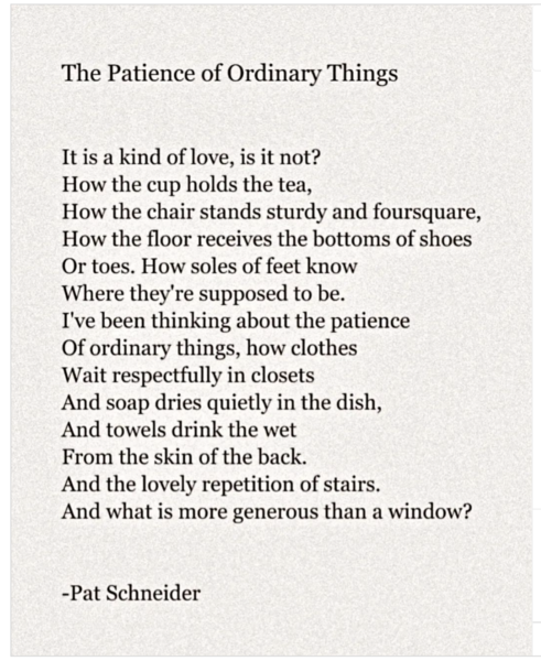 File:Pat Schneider, The Patience of Ordinary Things.png