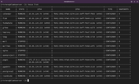 Terminal output of `incus list`