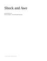 2011 Laurier Rochon-PZI 2011 Shock And Awe.pdf