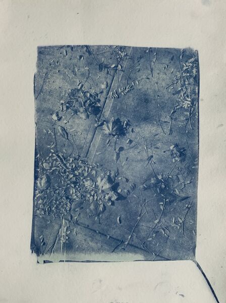 File:Sidewalk leaves cyanotype.jpg
