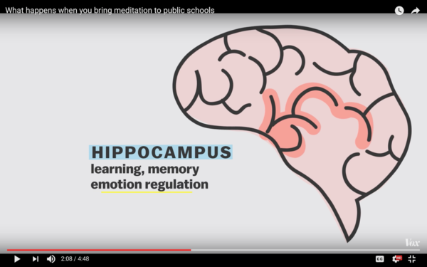 Voxhippocampus.png