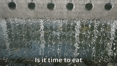 Time to eat.gif