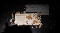 DSC02942.jpg