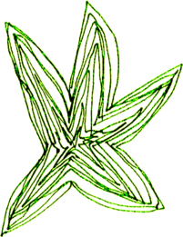 Star scan green.png
