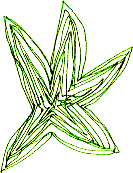File:Star scan green.png