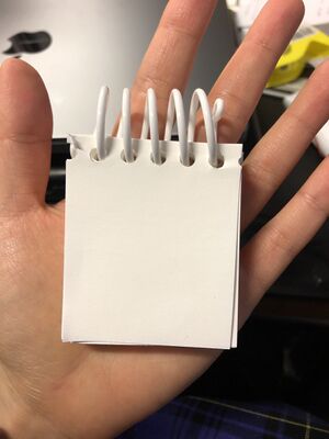 a tiny tiny spring note book for lost stories