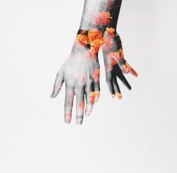 File:Flower hands.jpg