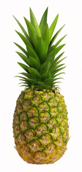 File:Pineapple.jpg