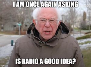 Bernie-isradioagoodidea.jpg