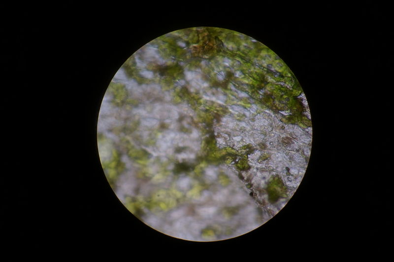 File:Microscope3.JPG