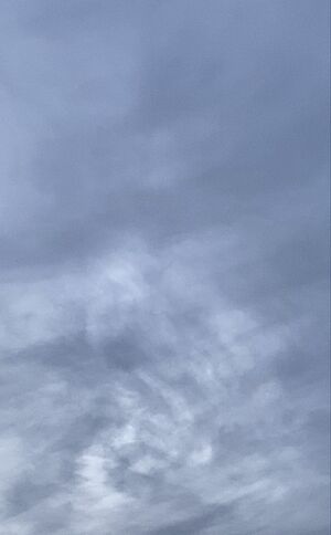 Picture of the sky.jpg