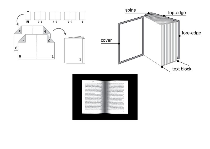 File:Anatomy of Reprinting diagram.jpeg