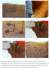 Electronic circuits on kombucha mats (Source)