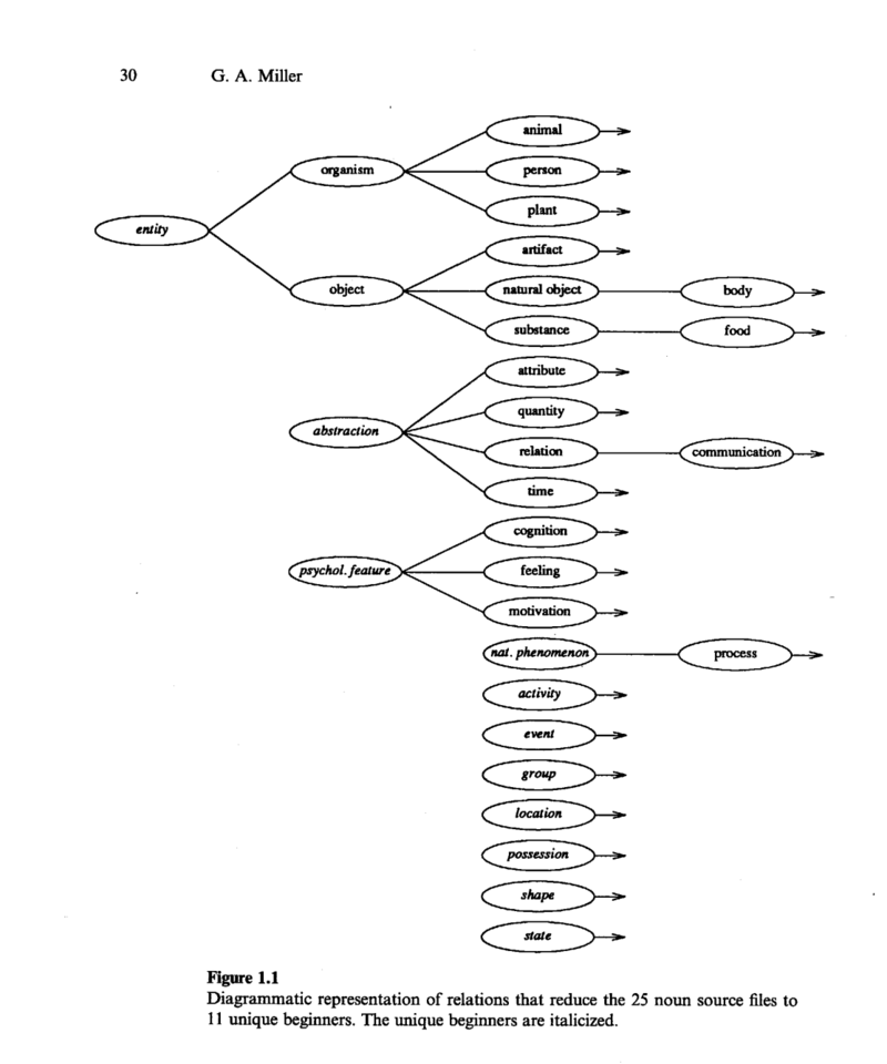 WordNet-root-structure.png