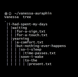 Folder-poetry-vanessa-auraphin.png