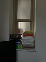 a narrow window in the wall is filled with two stacks of books. Sunlight glimmers from behind the window.